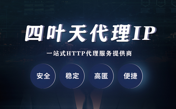 【定西代理IP】代理ip客户端使用教程