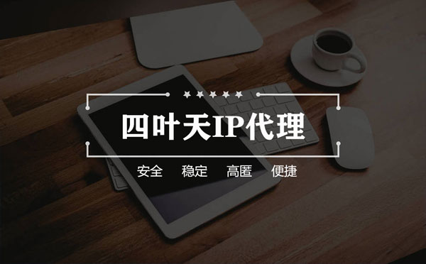 【定西代理IP】如何快速搭建代理IP？怎么检查代理的效果？