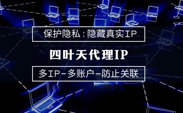 【定西代理IP】什么是代理ip池？如何提高代理服务器的网速